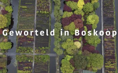 De Migratiekaravaan, bijzonder hoofdstuk in Boskoopse geschiedenis