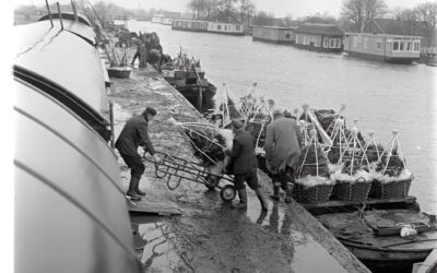 Tentoonstelling over verdwenen dorpsleven in Boskoop en omgeving